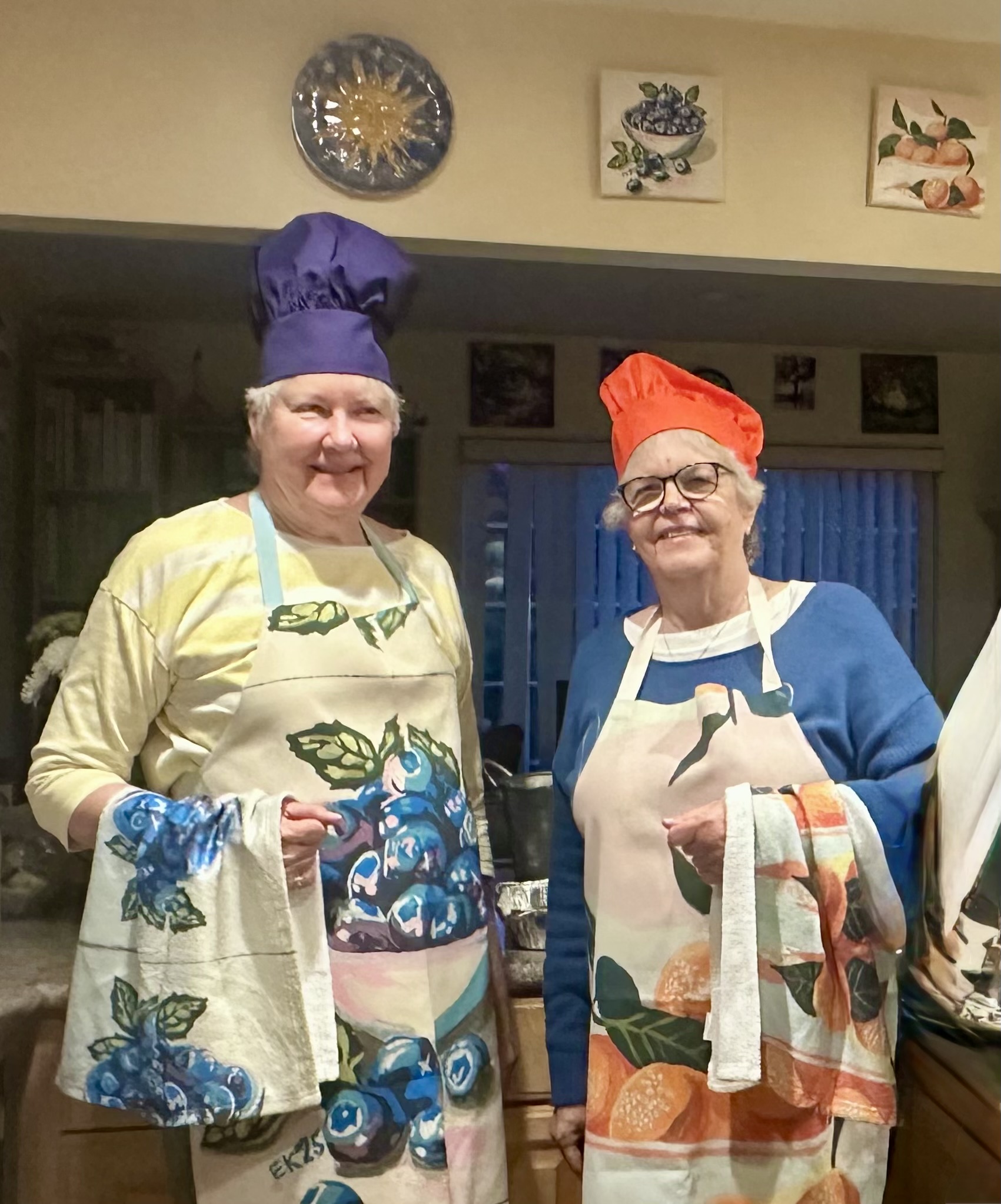apron and towel set